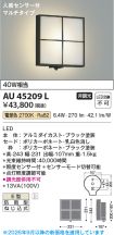 AU45209L