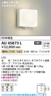 AU45873L