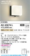 AU45874L