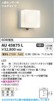AU45875L