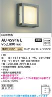 AU45916L