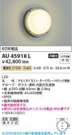 AU45918L