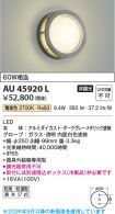 AU45920L