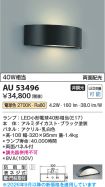 AU53496