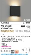 AU54595