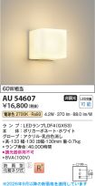 AU54607