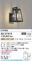 AU57419
