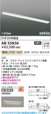 AB55856