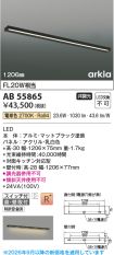 AB55865