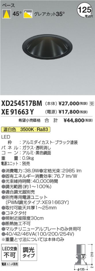 XD254517BM-XE91663Y