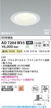 AD7204W35