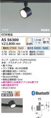 AS56300