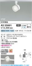 AS55001