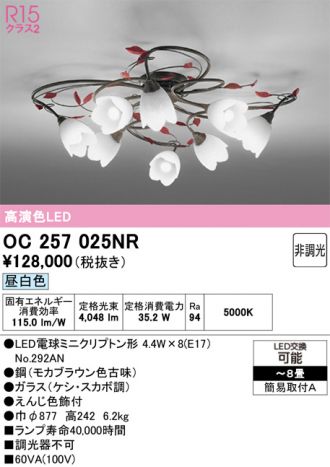 OC257025NR