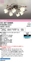 OC257026BR