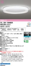 OL291599BR