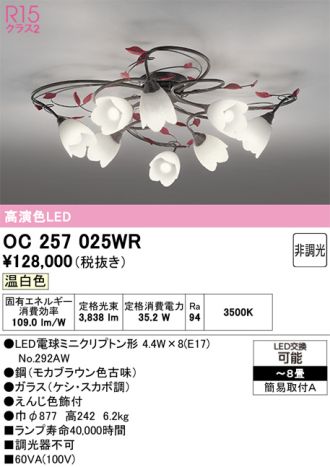 OC257025WR