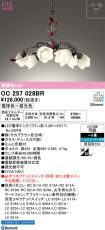 OC257028BR