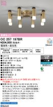 OC257197BR