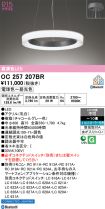 OC257207BR