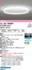 OL291599BR