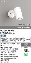 OG254699P1