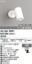 OG254702P1