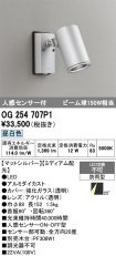 OG254707P1