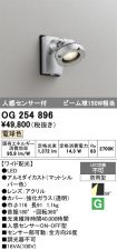 OG254896