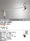 OG254200P1