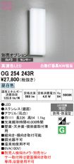 OG254243R