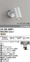 OG254358P1