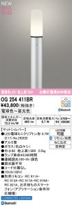 OG254411BR