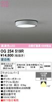 OG254519R