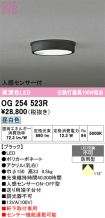 OG254523R