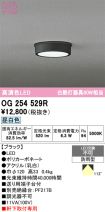 OG254529R