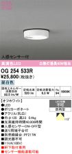 OG254533R