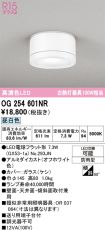 OG254601NR