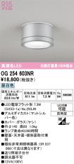 OG254603NR