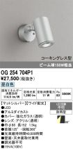 OG254704P1