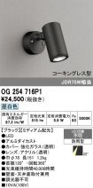 OG254716P1