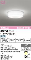 OG254873R
