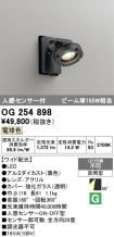 OG254898