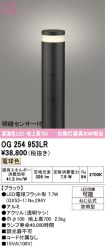 OG254953LR