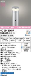 OG254956BR
