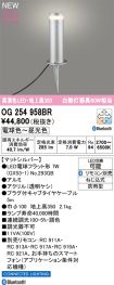 OG254958BR