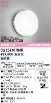 OG254977NCR