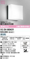 OG254980NCR