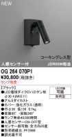 OG264070P1