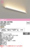 OB255227FR